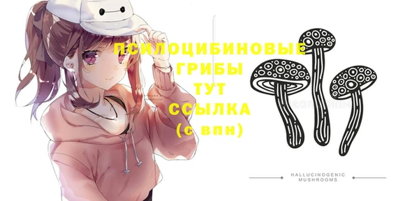 мдпв Балахна