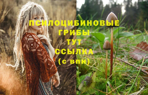 шишки Балабаново