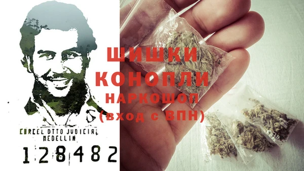 шишки Балабаново