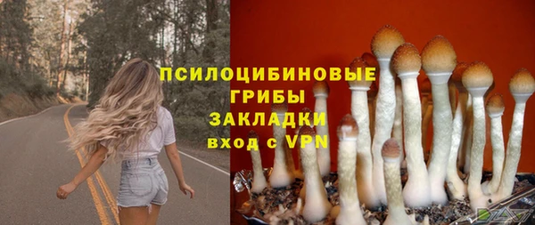 шишки Балабаново