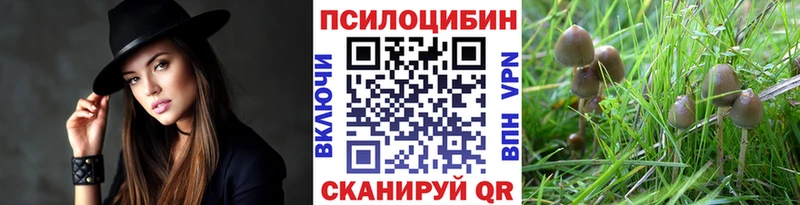 Псилоцибиновые грибы Psilocybe  Калуга 