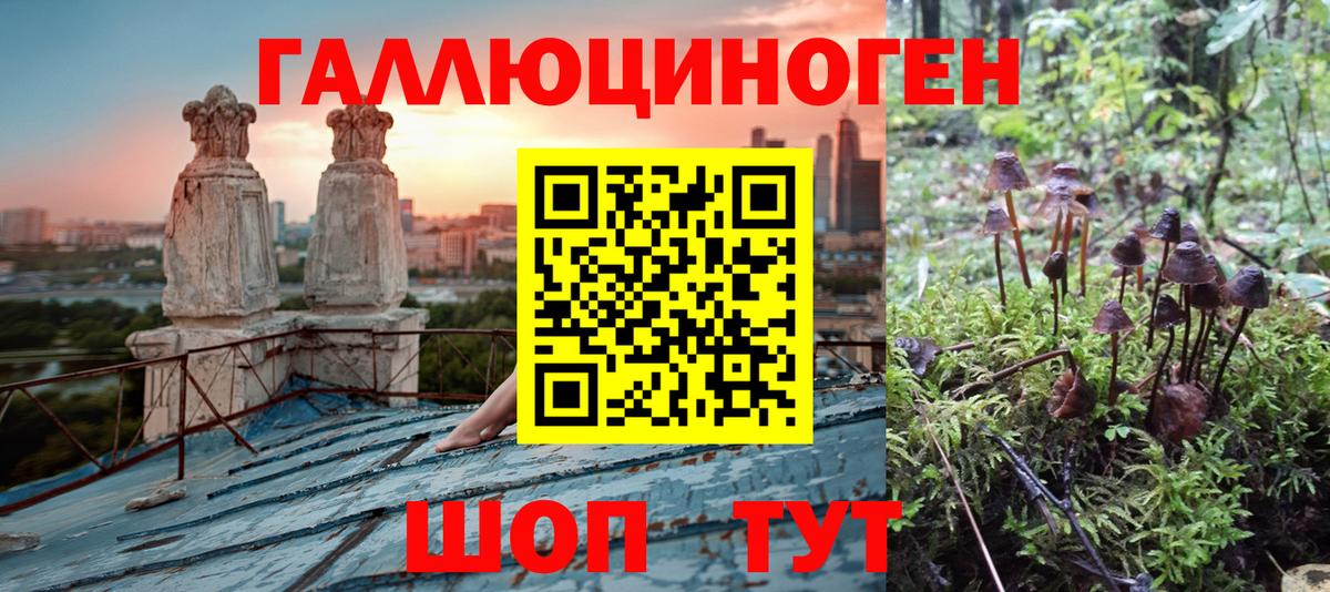 Псилоцибиновые грибы прущие грибы  купить  цена  Калуга  Вход с VPN  Псилоцибиновые грибы мицелий 